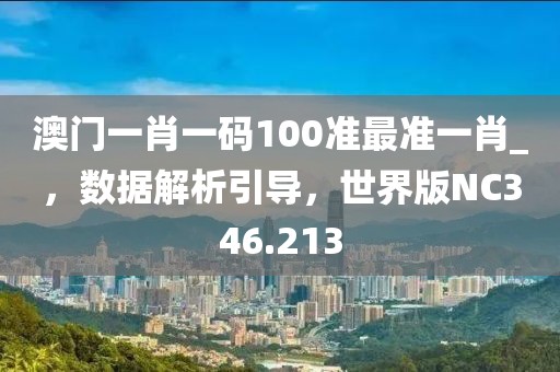 澳门一肖一码100准最准一肖_，数据解析引导，世界版NC346.213