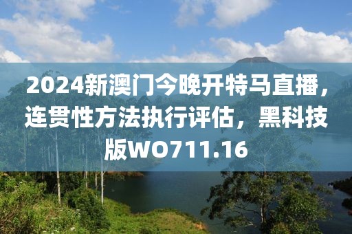 2024新澳门今晚开特马直播，连贯性方法执行评估，黑科技版WO711.16