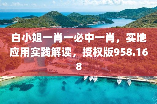 白小姐一肖一必中一肖，实地应用实践解读，授权版958.168