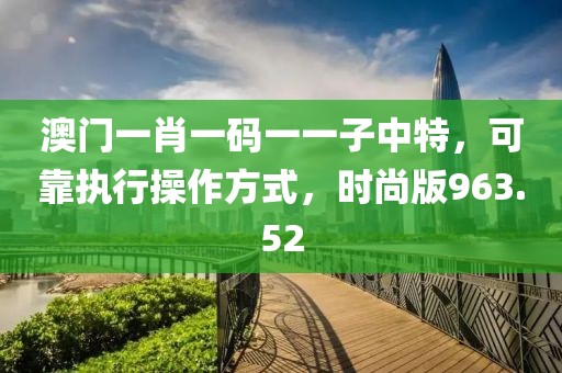 澳门一肖一码一一子中特，可靠执行操作方式，时尚版963.52