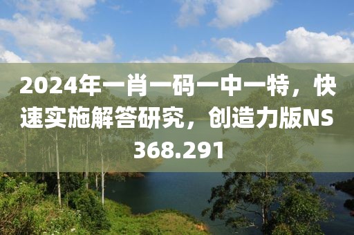 2024年一肖一码一中一特，快速实施解答研究，创造力版NS368.291