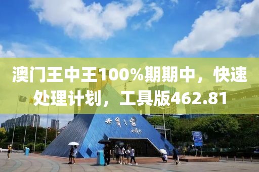 澳门王中王100%期期中，快速处理计划，工具版462.81