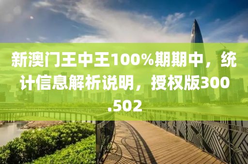 新澳门王中王100%期期中，统计信息解析说明，授权版300.502