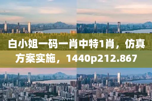 白小姐一码一肖中特1肖，仿真方案实施，1440p212.867