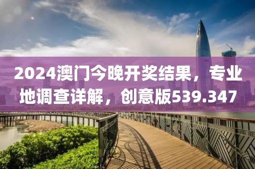 2024澳门今晚开奖结果，专业地调查详解，创意版539.347