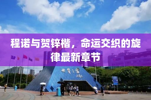程诺与贺锌楷，命运交织的旋律最新章节