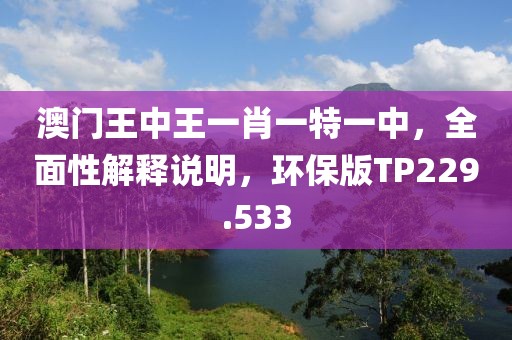 澳门王中王一肖一特一中，全面性解释说明，环保版TP229.533