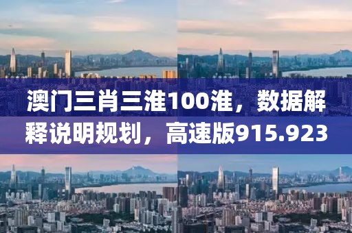 澳门三肖三淮100淮，数据解释说明规划，高速版915.923