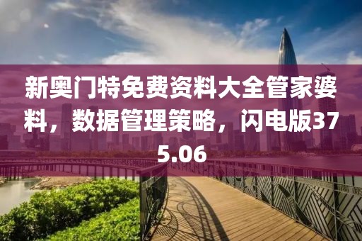 新奥门特免费资料大全管家婆料，数据管理策略，闪电版375.06
