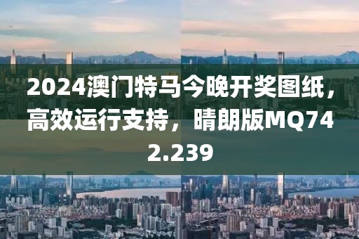 2024澳门特马今晚开奖图纸，高效运行支持，晴朗版MQ742.239