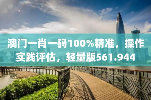 澳门一肖一码100%精准，操作实践评估，轻量版561.944
