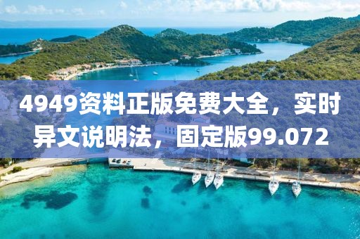 4949资料正版免费大全，实时异文说明法，固定版99.072