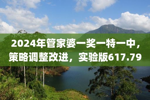 2024年管家婆一奖一特一中，策略调整改进，实验版617.79