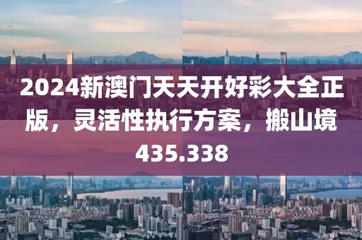 2024新澳门天天开好彩大全正版，灵活性执行方案，搬山境435.338