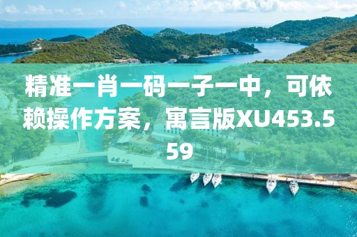 精准一肖一码一子一中，可依赖操作方案，寓言版XU453.559