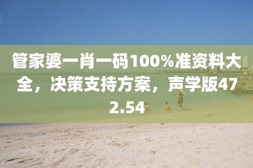 管家婆一肖一码100%准资料大全，决策支持方案，声学版472.54