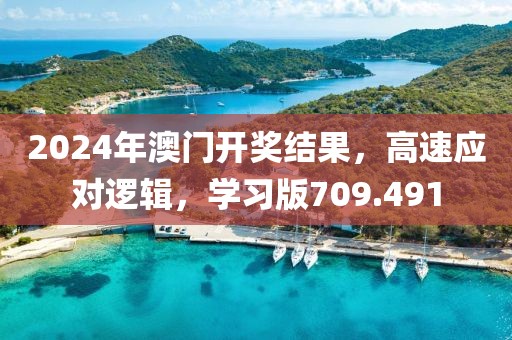 2024年澳门开奖结果，高速应对逻辑，学习版709.491