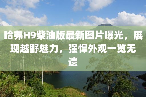 哈弗H9柴油版最新图片曝光，展现越野魅力，强悍外观一览无遗