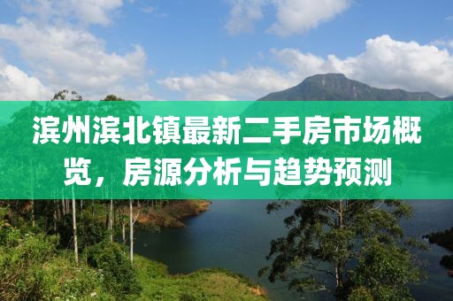 滨州滨北镇最新二手房市场概览，房源分析与趋势预测