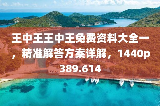 王中王王中王免费资料大全一，精准解答方案详解，1440p389.614