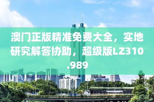 澳门正版精准免费大全，实地研究解答协助，超级版LZ310.989