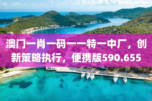 澳门一肖一码一一特一中厂，创新策略执行，便携版590.655