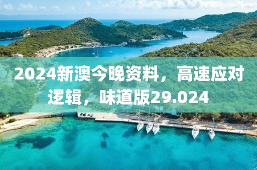 2024新澳今晚资料，高速应对逻辑，味道版29.024
