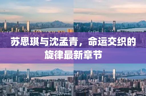 苏思琪与沈孟青，命运交织的旋律最新章节