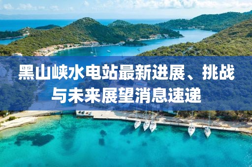 黑山峡水电站最新进展、挑战与未来展望消息速递