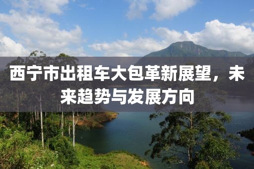 西宁市出租车大包革新展望，未来趋势与发展方向