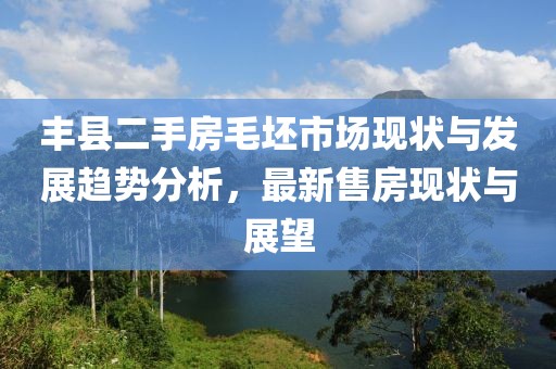 丰县二手房毛坯市场现状与发展趋势分析，最新售房现状与展望