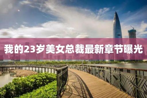 我的23岁美女总裁最新章节曝光