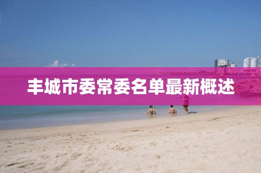 丰城市委常委名单最新概述