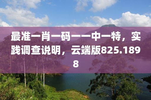 最准一肖一码一一中一特，实践调查说明，云端版825.1898