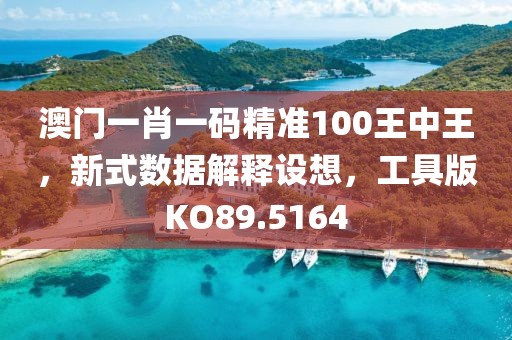 澳门一肖一码精准100王中王，新式数据解释设想，工具版KO89.5164