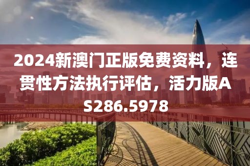 2024新澳门正版免费资料，连贯性方法执行评估，活力版AS286.5978