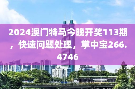 2024澳门特马今晚开奖113期，快速问题处理，掌中宝266.4746