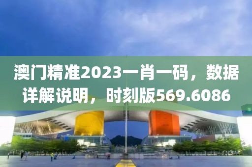 澳门精准2023一肖一码，数据详解说明，时刻版569.6086