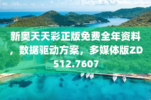 新奥天天彩正版免费全年资料，数据驱动方案，多媒体版ZD512.7607