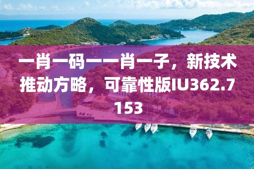 一肖一码一一肖一子，新技术推动方略，可靠性版IU362.7153