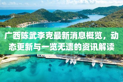 广西陈武李克最新消息概览，动态更新与一览无遗的资讯解读