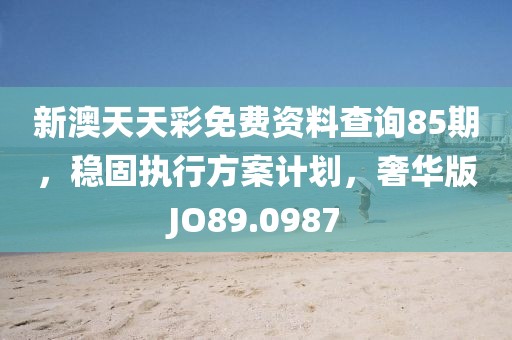 新澳天天彩免费资料查询85期，稳固执行方案计划，奢华版JO89.0987