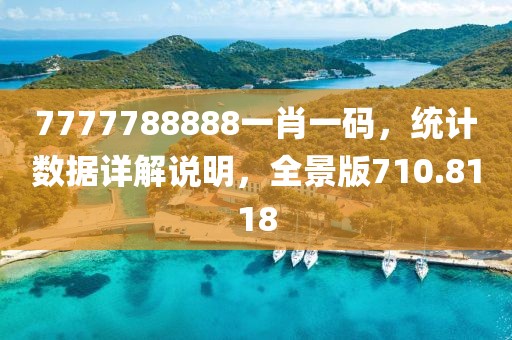 7777788888一肖一码，统计数据详解说明，全景版710.8118