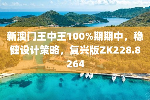 新澳门王中王100%期期中，稳健设计策略，复兴版ZK228.8264