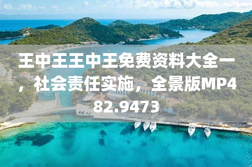 王中王王中王免费资料大全一，社会责任实施，全景版MP482.9473