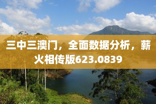 三中三澳门，全面数据分析，薪火相传版623.0839