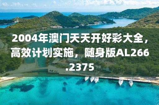 2004年澳门天天开好彩大全，高效计划实施，随身版AL266.2375