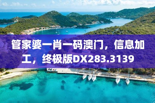 管家婆一肖一码澳门，信息加工，终极版DX283.3139