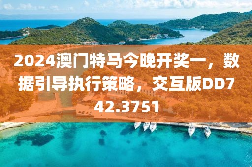 2024澳门特马今晚开奖一，数据引导执行策略，交互版DD742.3751