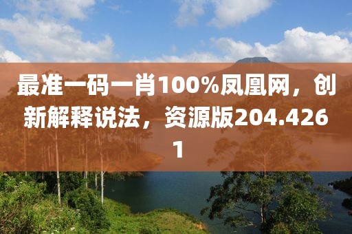 最准一码一肖100%凤凰网，创新解释说法，资源版204.4261